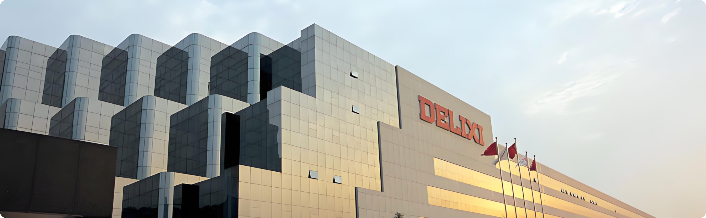 德力西案例横幅图