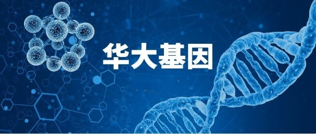 华大基因